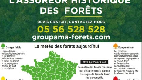 Météo des Forêts